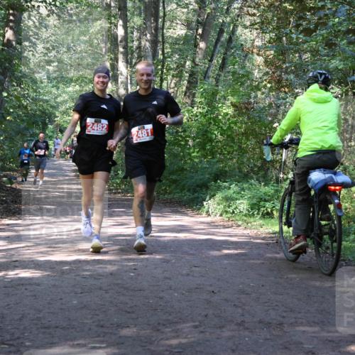28.09.2025 - 33. Volkslauf durch das schöne Alstertal Strokosch-Dieckow http://msf.ph/oto/8971978 28.09.2025 12:26:39 Laufen 2482, 2481 meine-sportfotos.de