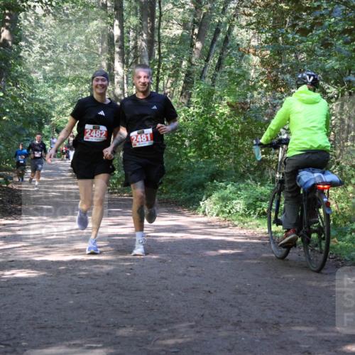 28.09.2025 - 33. Volkslauf durch das schöne Alstertal Strokosch-Dieckow http://msf.ph/oto/8971979 28.09.2025 12:26:39 Laufen 2482, 2481 meine-sportfotos.de
