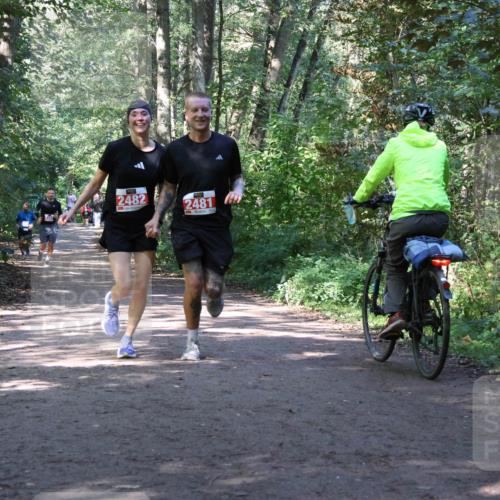 28.09.2025 - 33. Volkslauf durch das schöne Alstertal Strokosch-Dieckow http://msf.ph/oto/8971980 28.09.2025 12:26:39 Laufen 2482, 2481 meine-sportfotos.de