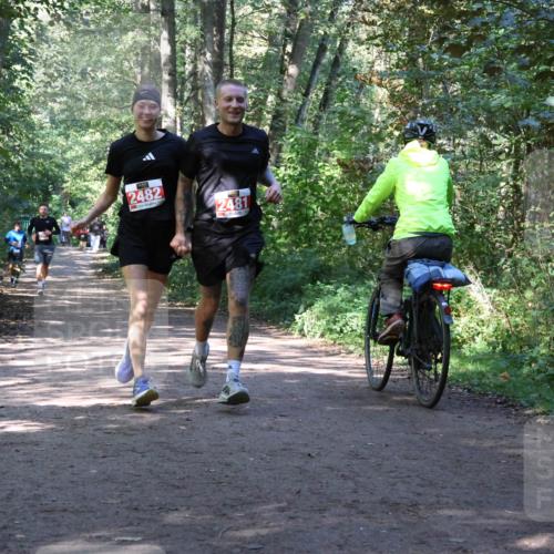 28.09.2025 - 33. Volkslauf durch das schöne Alstertal Strokosch-Dieckow http://msf.ph/oto/8971983 28.09.2025 12:26:40 Laufen 2482, 2481 meine-sportfotos.de