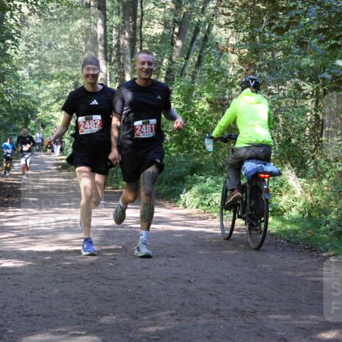28.09.2025 - 33. Volkslauf durch das schöne Alstertal Strokosch-Dieckow http://msf.ph/oto/8971984 28.09.2025 12:26:40 Laufen 2482, 2481 meine-sportfotos.de