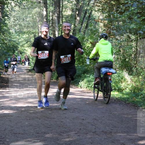 28.09.2025 - 33. Volkslauf durch das schöne Alstertal Strokosch-Dieckow http://msf.ph/oto/8971987 28.09.2025 12:26:40 Laufen 2482, 2481 meine-sportfotos.de