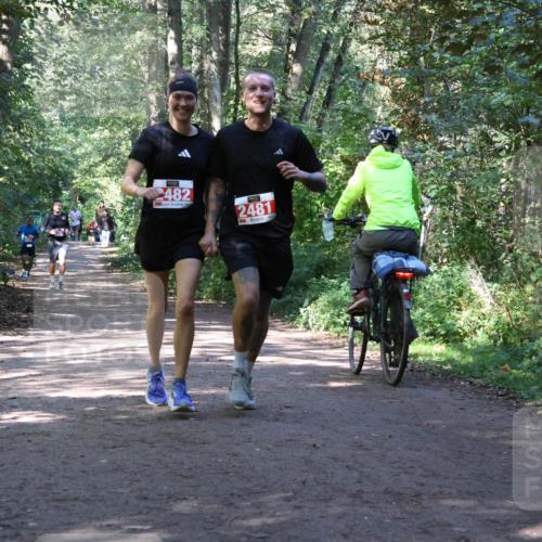 28.09.2025 - 33. Volkslauf durch das schöne Alstertal Strokosch-Dieckow http://msf.ph/oto/8971988 28.09.2025 12:26:40 Laufen 482, 2481 meine-sportfotos.de