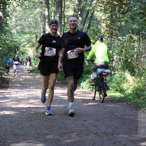 28.09.2025 - 33. Volkslauf durch das schöne Alstertal Strokosch-Dieckow http://msf.ph/oto/8971990 28.09.2025 12:26:40 Laufen 2482, 2481 meine-sportfotos.de