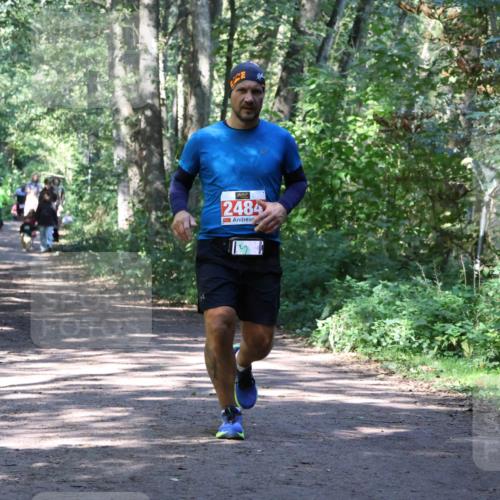 28.09.2025 - 33. Volkslauf durch das schöne Alstertal Strokosch-Dieckow http://msf.ph/oto/8972002 28.09.2025 12:26:55 Laufen 2484 meine-sportfotos.de