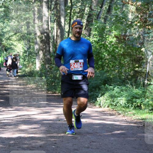 28.09.2025 - 33. Volkslauf durch das schöne Alstertal Strokosch-Dieckow http://msf.ph/oto/8972003 28.09.2025 12:26:55 Laufen 2484 meine-sportfotos.de