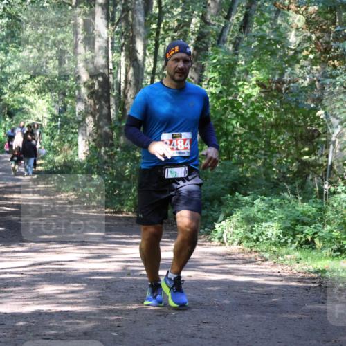 28.09.2025 - 33. Volkslauf durch das schöne Alstertal Strokosch-Dieckow http://msf.ph/oto/8972004 28.09.2025 12:26:55 Laufen 484 meine-sportfotos.de