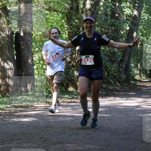 28.09.2025 - 33. Volkslauf durch das schöne Alstertal Strokosch-Dieckow http://msf.ph/oto/8972013 28.09.2025 12:27:09 Laufen 2486, 2436 meine-sportfotos.de