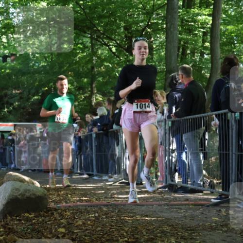 28.09.2025 - 33. Volkslauf durch das schöne Alstertal Strokosch-Dieckow http://msf.ph/oto/8972018 28.09.2025 11:54:42 Ziel 1014, 1632, 1634 meine-sportfotos.de