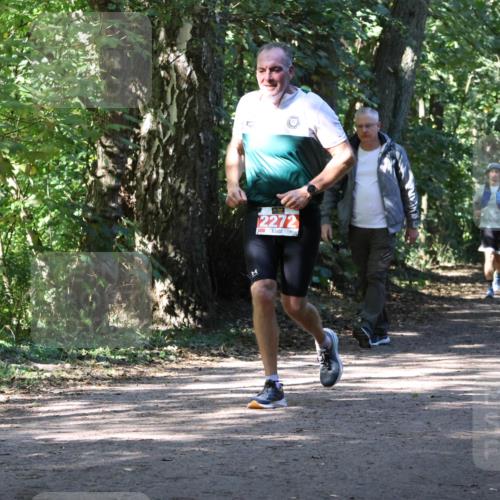28.09.2025 - 33. Volkslauf durch das schöne Alstertal Strokosch-Dieckow http://msf.ph/oto/8972019 28.09.2025 12:27:27 Laufen 2272, 1085 meine-sportfotos.de