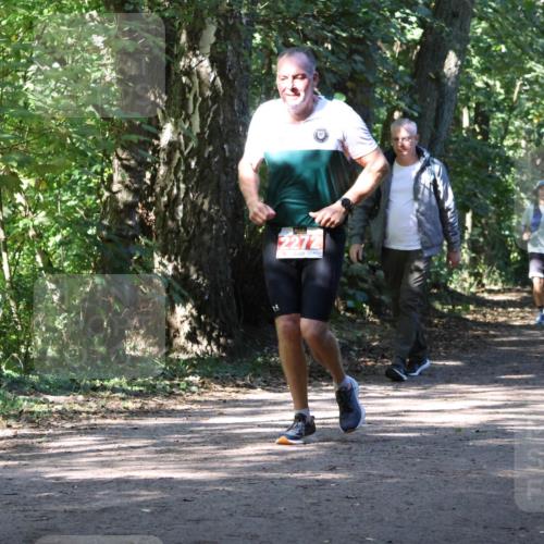28.09.2025 - 33. Volkslauf durch das schöne Alstertal Strokosch-Dieckow http://msf.ph/oto/8972020 28.09.2025 12:27:27 Laufen 2272, 1085 meine-sportfotos.de