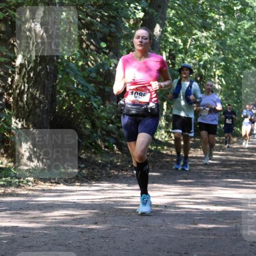 28.09.2025 - 33. Volkslauf durch das schöne Alstertal Strokosch-Dieckow http://msf.ph/oto/8972023 28.09.2025 12:27:32 Laufen 108 meine-sportfotos.de