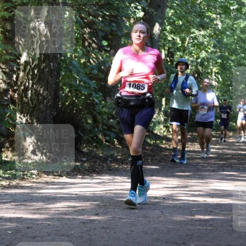 28.09.2025 - 33. Volkslauf durch das schöne Alstertal Strokosch-Dieckow http://msf.ph/oto/8972024 28.09.2025 12:27:32 Laufen 1085, 2456 meine-sportfotos.de