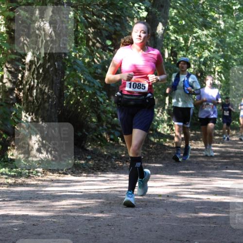 28.09.2025 - 33. Volkslauf durch das schöne Alstertal Strokosch-Dieckow http://msf.ph/oto/8972025 28.09.2025 12:27:32 Laufen 1085, 2456 meine-sportfotos.de
