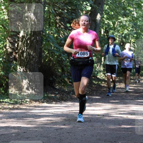 28.09.2025 - 33. Volkslauf durch das schöne Alstertal Strokosch-Dieckow http://msf.ph/oto/8972026 28.09.2025 12:27:32 Laufen 1085 meine-sportfotos.de