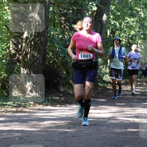 28.09.2025 - 33. Volkslauf durch das schöne Alstertal Strokosch-Dieckow http://msf.ph/oto/8972027 28.09.2025 12:27:32 Laufen 1085, 2456 meine-sportfotos.de