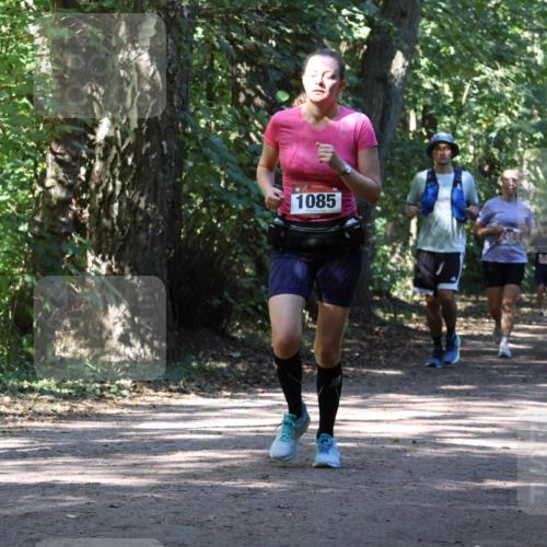 28.09.2025 - 33. Volkslauf durch das schöne Alstertal Strokosch-Dieckow http://msf.ph/oto/8972028 28.09.2025 12:27:32 Laufen 1085 meine-sportfotos.de