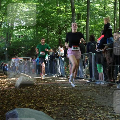 28.09.2025 - 33. Volkslauf durch das schöne Alstertal Strokosch-Dieckow http://msf.ph/oto/8972030 28.09.2025 11:54:42 Ziel 1014, 1632, 1634 meine-sportfotos.de