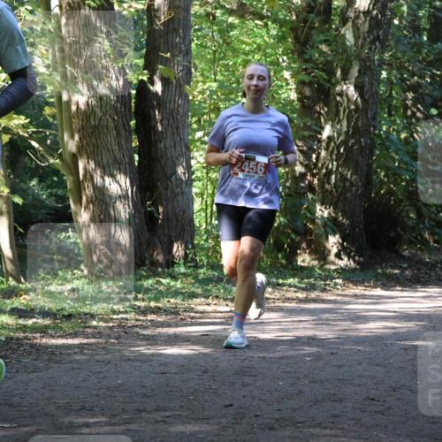 28.09.2025 - 33. Volkslauf durch das schöne Alstertal Strokosch-Dieckow http://msf.ph/oto/8972033 28.09.2025 12:27:39 Laufen 2456 meine-sportfotos.de