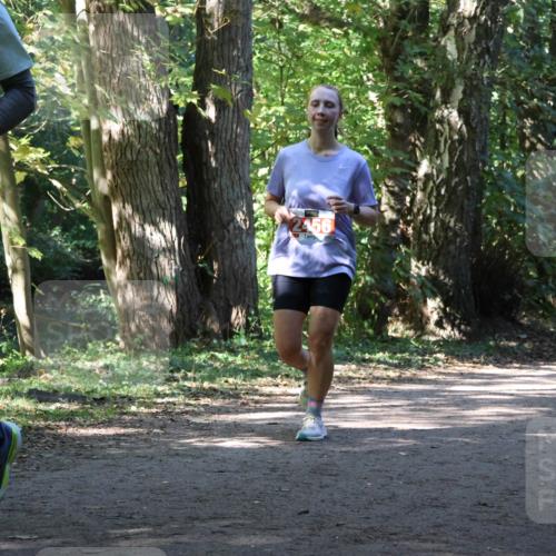 28.09.2025 - 33. Volkslauf durch das schöne Alstertal Strokosch-Dieckow http://msf.ph/oto/8972034 28.09.2025 12:27:39 Laufen 2456 meine-sportfotos.de