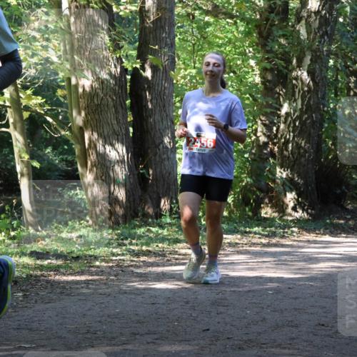 28.09.2025 - 33. Volkslauf durch das schöne Alstertal Strokosch-Dieckow http://msf.ph/oto/8972035 28.09.2025 12:27:39 Laufen 2456 meine-sportfotos.de
