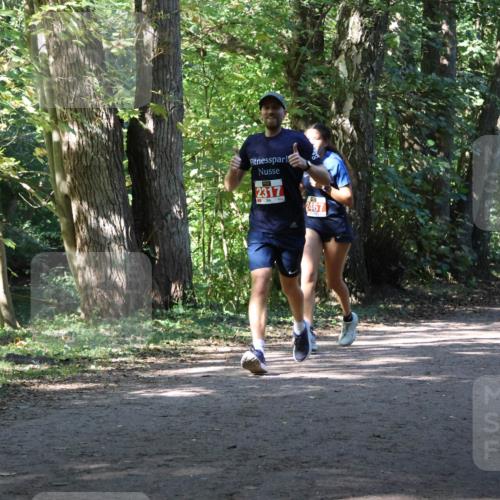 28.09.2025 - 33. Volkslauf durch das schöne Alstertal Strokosch-Dieckow http://msf.ph/oto/8972037 28.09.2025 12:27:46 Laufen 2317, 2467, 1706 meine-sportfotos.de