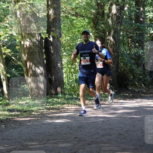 28.09.2025 - 33. Volkslauf durch das schöne Alstertal Strokosch-Dieckow http://msf.ph/oto/8972038 28.09.2025 12:27:46 Laufen 2317, 2467, 1706 meine-sportfotos.de