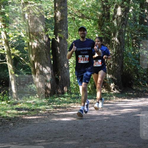 28.09.2025 - 33. Volkslauf durch das schöne Alstertal Strokosch-Dieckow http://msf.ph/oto/8972043 28.09.2025 12:27:46 Laufen 2317, 2467 meine-sportfotos.de