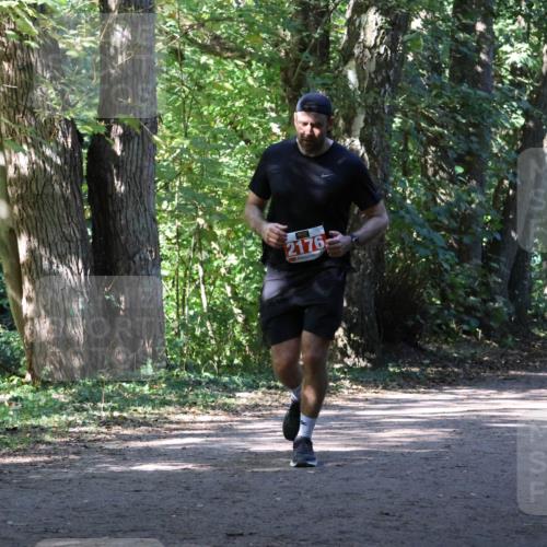 28.09.2025 - 33. Volkslauf durch das schöne Alstertal Strokosch-Dieckow http://msf.ph/oto/8972048 28.09.2025 12:28:44 Laufen 2176, 1274 meine-sportfotos.de