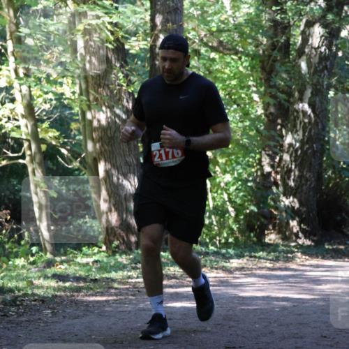 28.09.2025 - 33. Volkslauf durch das schöne Alstertal Strokosch-Dieckow http://msf.ph/oto/8972051 28.09.2025 12:28:45 Laufen 2176 meine-sportfotos.de