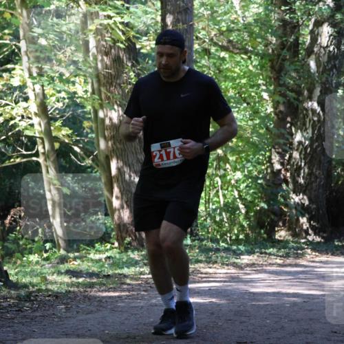 28.09.2025 - 33. Volkslauf durch das schöne Alstertal Strokosch-Dieckow http://msf.ph/oto/8972053 28.09.2025 12:28:46 Laufen 2176 meine-sportfotos.de
