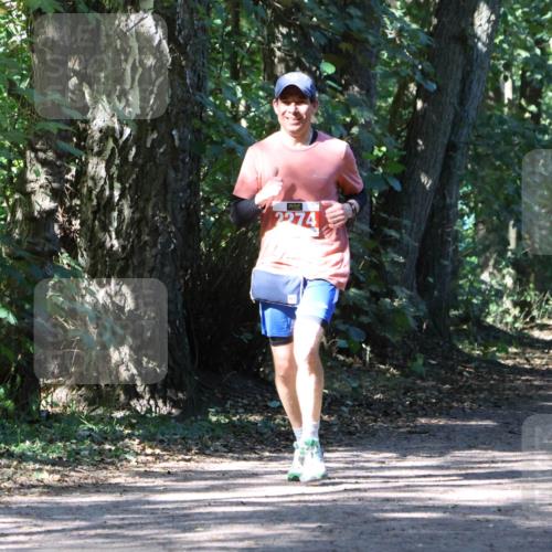 28.09.2025 - 33. Volkslauf durch das schöne Alstertal Strokosch-Dieckow http://msf.ph/oto/8972056 28.09.2025 12:28:51 Laufen 2274 meine-sportfotos.de