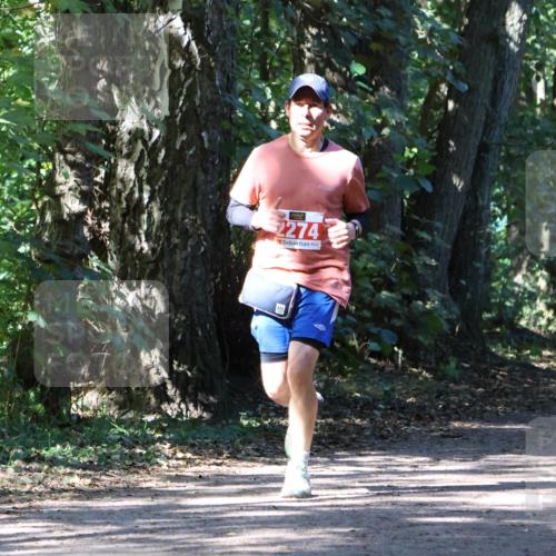 28.09.2025 - 33. Volkslauf durch das schöne Alstertal Strokosch-Dieckow http://msf.ph/oto/8972059 28.09.2025 12:28:51 Laufen 2274 meine-sportfotos.de