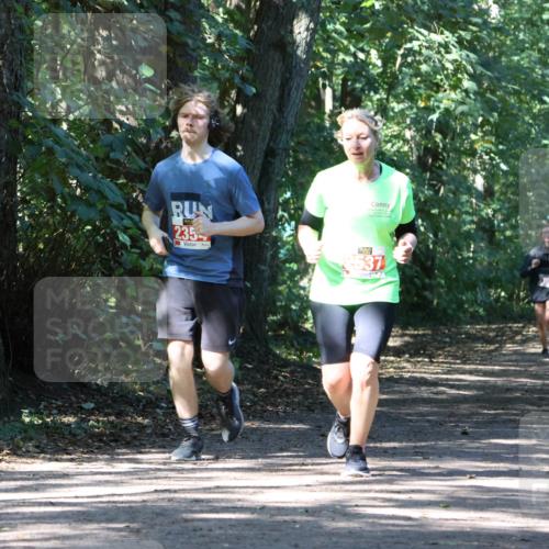 28.09.2025 - 33. Volkslauf durch das schöne Alstertal Strokosch-Dieckow http://msf.ph/oto/8972061 28.09.2025 12:28:58 Laufen 235, 2537 meine-sportfotos.de
