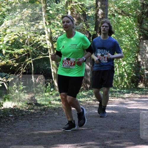 28.09.2025 - 33. Volkslauf durch das schöne Alstertal Strokosch-Dieckow http://msf.ph/oto/8972068 28.09.2025 12:29:02 Laufen 2354, 2537 meine-sportfotos.de