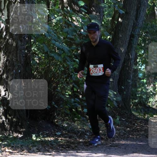 28.09.2025 - 33. Volkslauf durch das schöne Alstertal Strokosch-Dieckow http://msf.ph/oto/8972083 28.09.2025 12:29:34 Laufen 2603 meine-sportfotos.de