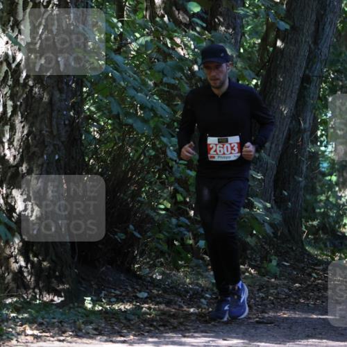 28.09.2025 - 33. Volkslauf durch das schöne Alstertal Strokosch-Dieckow http://msf.ph/oto/8972084 28.09.2025 12:29:34 Laufen 2603 meine-sportfotos.de