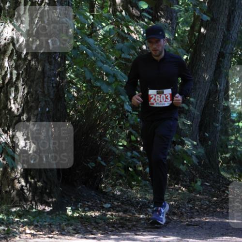 28.09.2025 - 33. Volkslauf durch das schöne Alstertal Strokosch-Dieckow http://msf.ph/oto/8972085 28.09.2025 12:29:34 Laufen 2603 meine-sportfotos.de