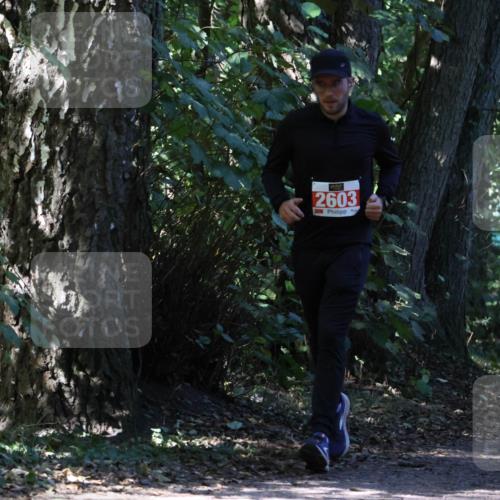28.09.2025 - 33. Volkslauf durch das schöne Alstertal Strokosch-Dieckow http://msf.ph/oto/8972086 28.09.2025 12:29:34 Laufen 2603 meine-sportfotos.de