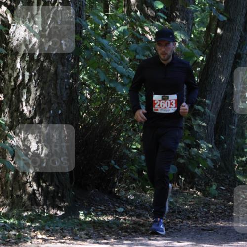 28.09.2025 - 33. Volkslauf durch das schöne Alstertal Strokosch-Dieckow http://msf.ph/oto/8972087 28.09.2025 12:29:34 Laufen 2603 meine-sportfotos.de