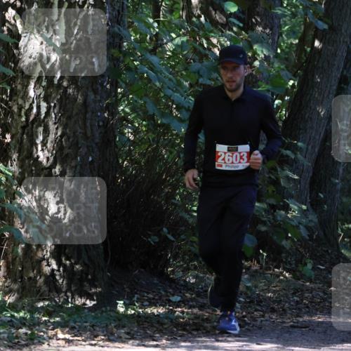 28.09.2025 - 33. Volkslauf durch das schöne Alstertal Strokosch-Dieckow http://msf.ph/oto/8972088 28.09.2025 12:29:34 Laufen 2603 meine-sportfotos.de