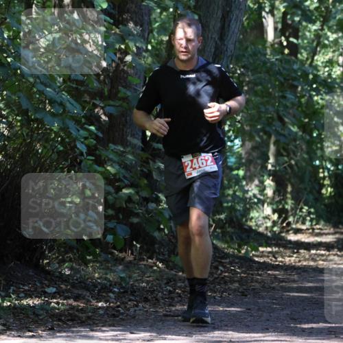 28.09.2025 - 33. Volkslauf durch das schöne Alstertal Strokosch-Dieckow http://msf.ph/oto/8972090 28.09.2025 12:29:44 Laufen 2462 meine-sportfotos.de
