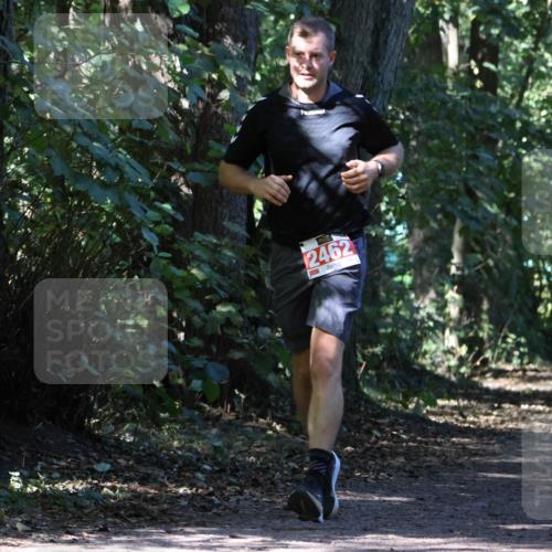 28.09.2025 - 33. Volkslauf durch das schöne Alstertal Strokosch-Dieckow http://msf.ph/oto/8972091 28.09.2025 12:29:44 Laufen 2462 meine-sportfotos.de