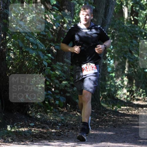28.09.2025 - 33. Volkslauf durch das schöne Alstertal Strokosch-Dieckow http://msf.ph/oto/8972092 28.09.2025 12:29:44 Laufen 2462 meine-sportfotos.de