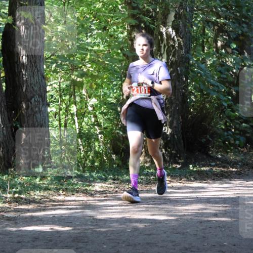 28.09.2025 - 33. Volkslauf durch das schöne Alstertal Strokosch-Dieckow http://msf.ph/oto/8972096 28.09.2025 12:29:51 Laufen 2101 meine-sportfotos.de