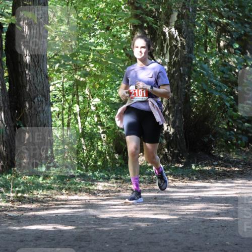 28.09.2025 - 33. Volkslauf durch das schöne Alstertal Strokosch-Dieckow http://msf.ph/oto/8972097 28.09.2025 12:29:51 Laufen 2101 meine-sportfotos.de