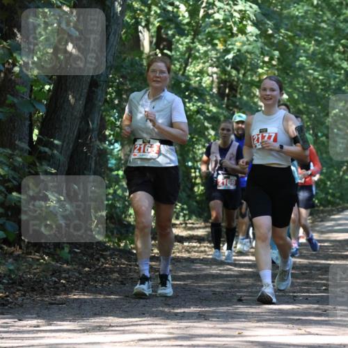 28.09.2025 - 33. Volkslauf durch das schöne Alstertal Strokosch-Dieckow http://msf.ph/oto/8972112 28.09.2025 12:30:00 Laufen 216, 169, 2079 meine-sportfotos.de