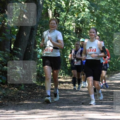 28.09.2025 - 33. Volkslauf durch das schöne Alstertal Strokosch-Dieckow http://msf.ph/oto/8972113 28.09.2025 12:30:00 Laufen 2163, 2169, 2177 meine-sportfotos.de