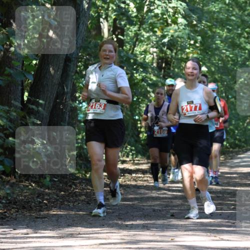 28.09.2025 - 33. Volkslauf durch das schöne Alstertal Strokosch-Dieckow http://msf.ph/oto/8972114 28.09.2025 12:30:00 Laufen 2163, 2169, 2177 meine-sportfotos.de