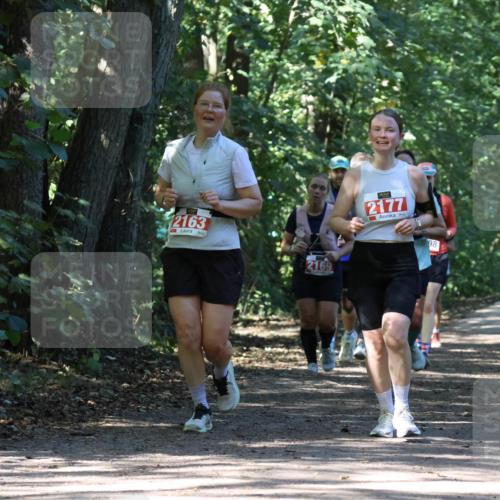 28.09.2025 - 33. Volkslauf durch das schöne Alstertal Strokosch-Dieckow http://msf.ph/oto/8972115 28.09.2025 12:30:01 Laufen 2163, 2169, 2177, 98 meine-sportfotos.de